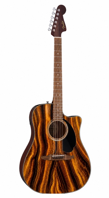 Tiger's Eye Fender Electro Acoustic Guitar - Image 5